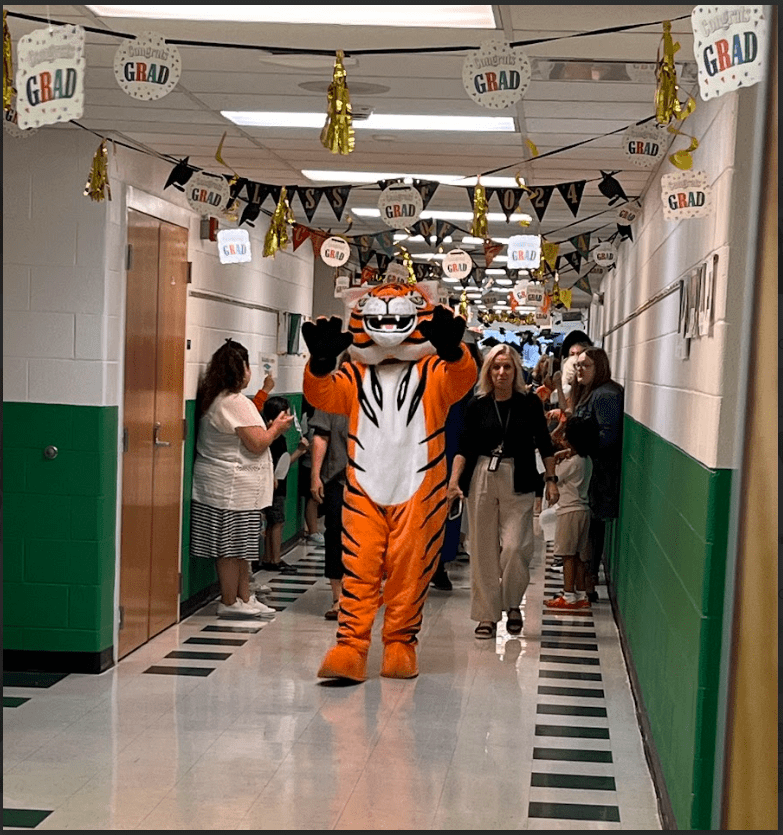 tiger mascot leads senior through hallway