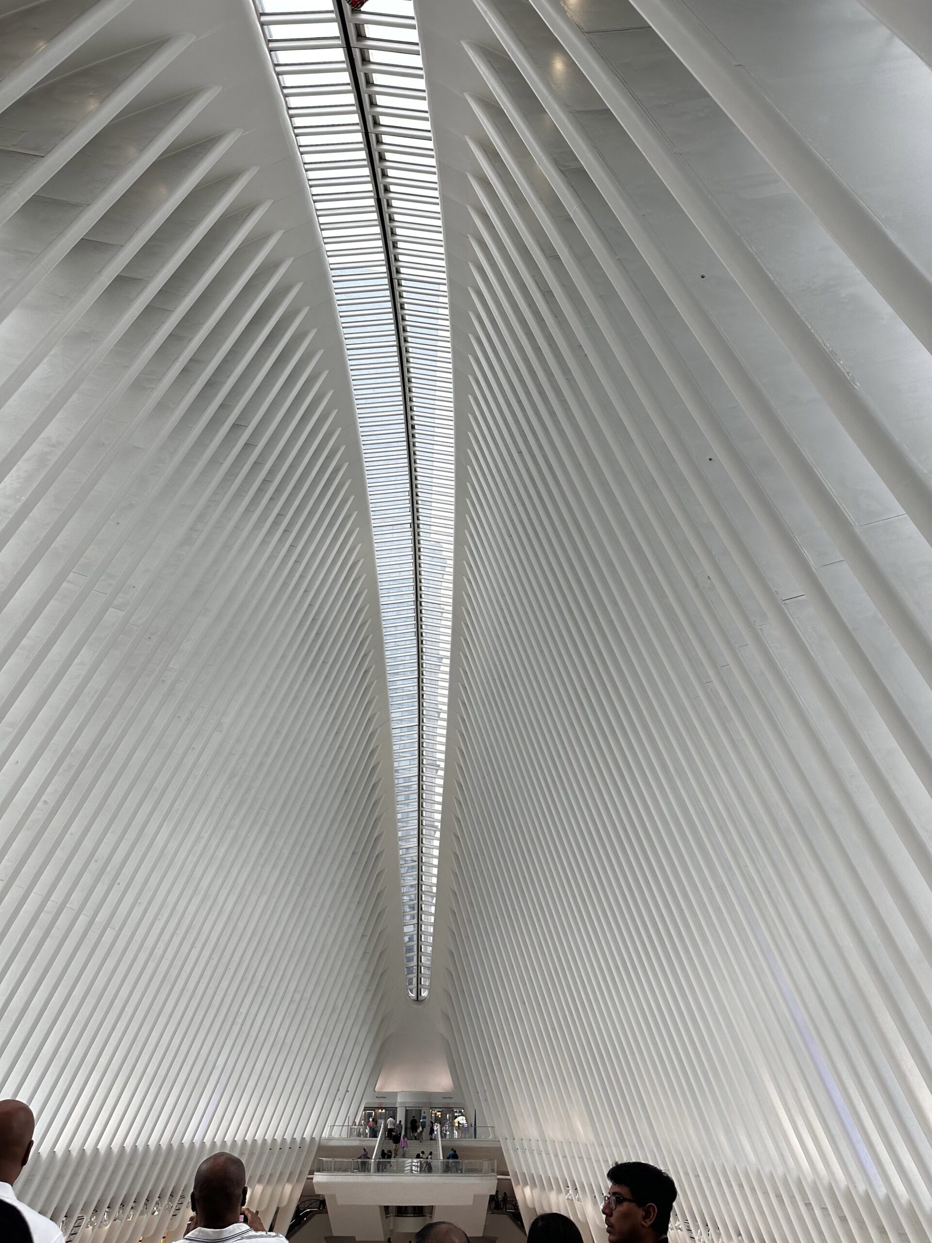 Oculus Ceiling