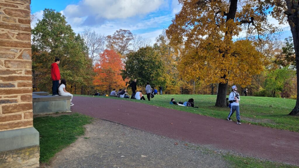 students in grassy field.