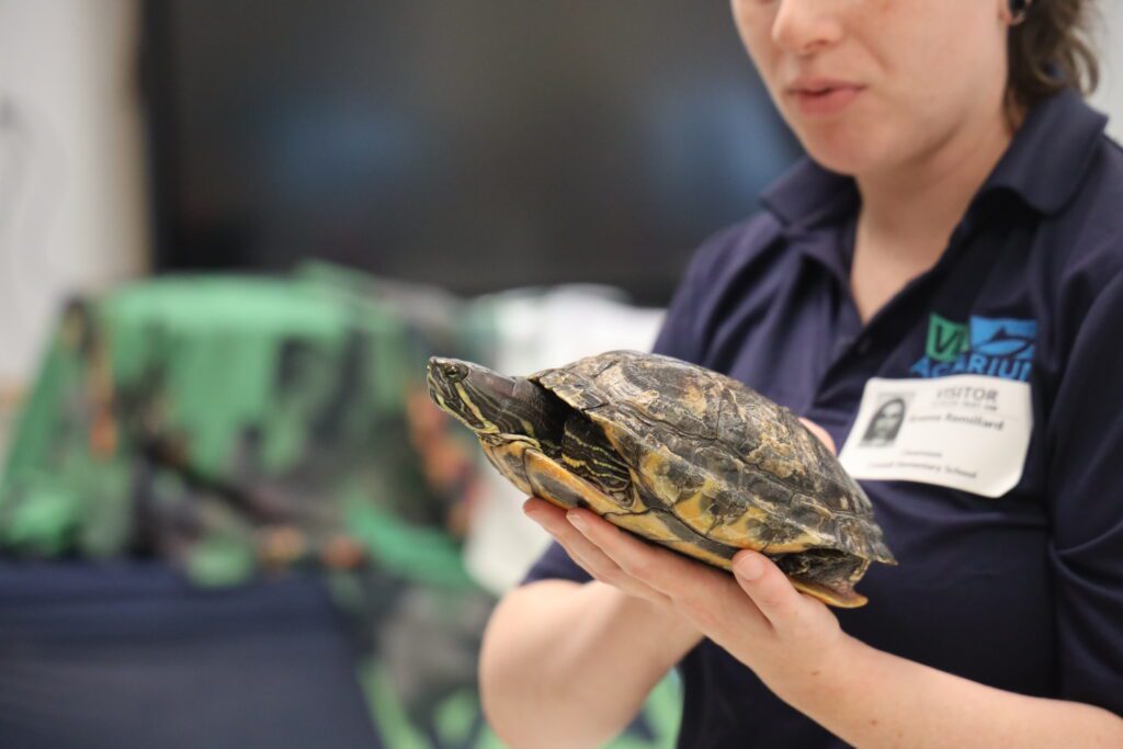 woman holdinfg turtle