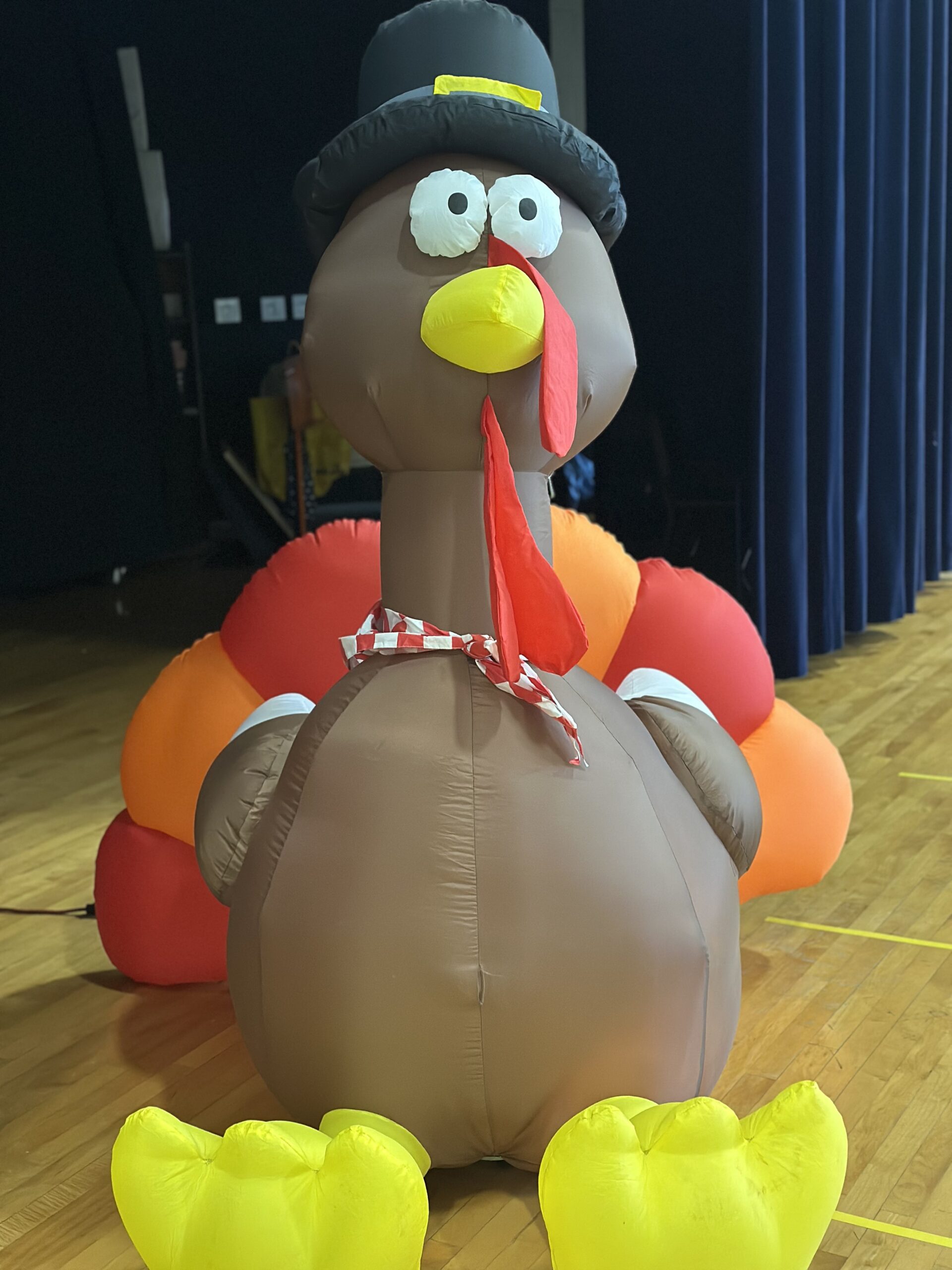 inflatable turkey
