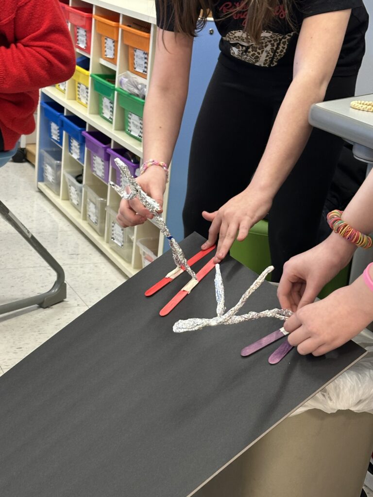 students racing skier models