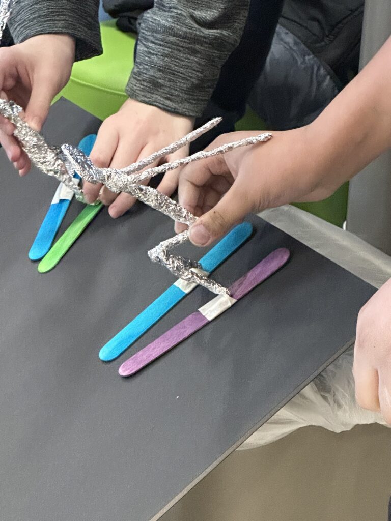 students racing skier models