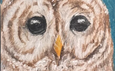 Pastel drawing of owl