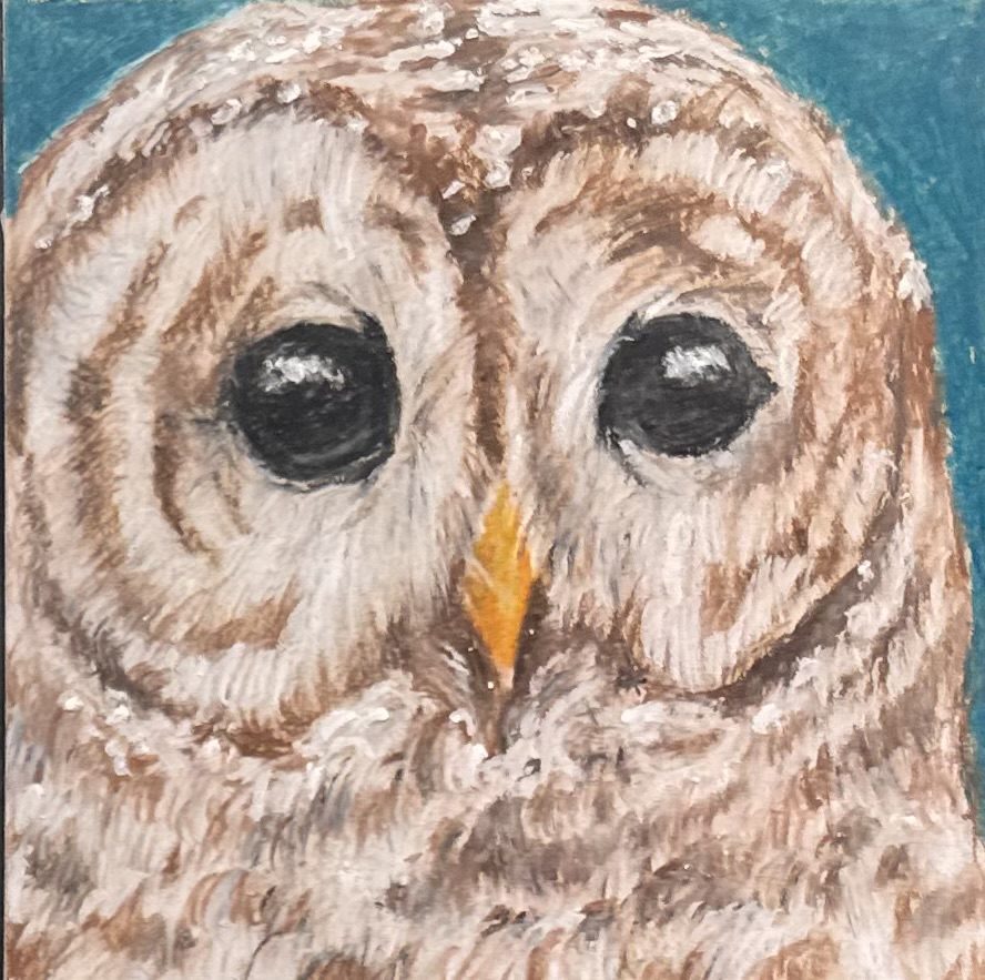 Pastel drawing of owl