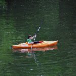 bpy paddling kayak on water